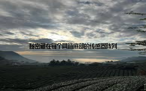 秘密藏在每个网箱底部的传感器阵列