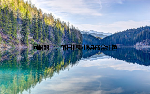 回村路上, 落日把虾塘染成金红色