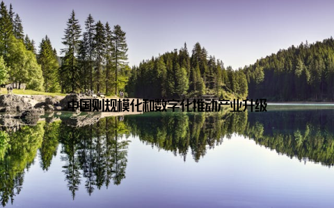 中国则规模化和数字化推动产业升级