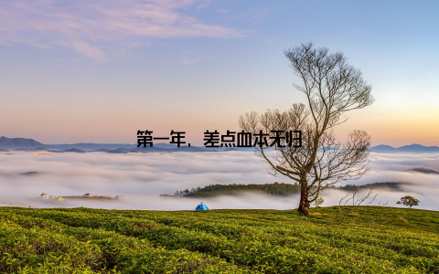 第一年, 差点血本无归