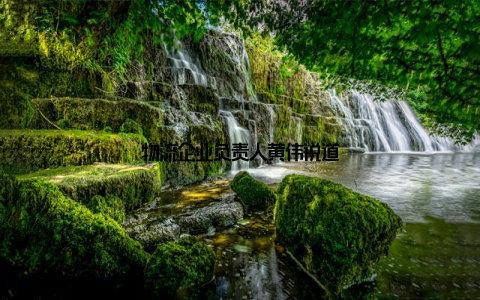 物流企业负责人黄伟说道