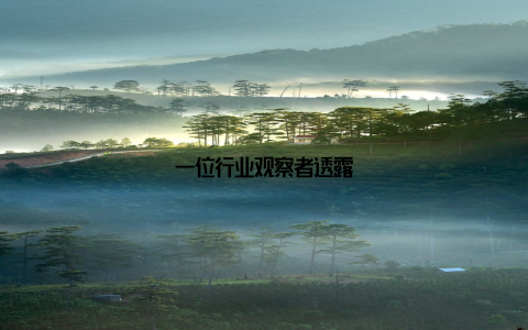 一位行业观察者透露