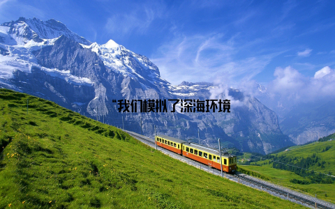 “我们模拟了深海环境