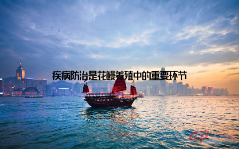 疾病防治是花鳗养殖中的重要环节