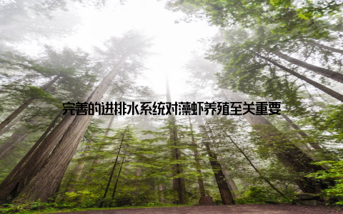 完善的进排水系统对藻虾养殖至关重要