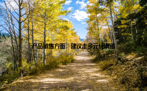 产品销售方面, 建议走多元化渠道