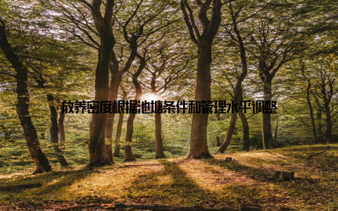 放养密度根据池塘条件和管理水平调整