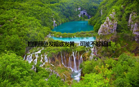 如果颜色发暗或发黄, 可能不够新鲜