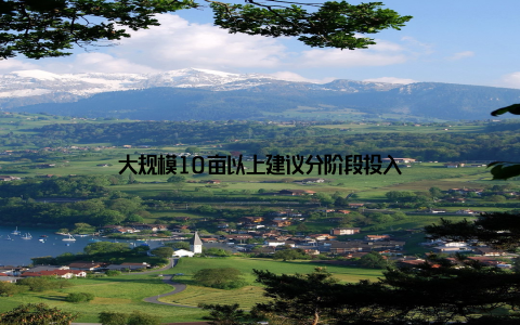 大规模10亩以上建议分阶段投入