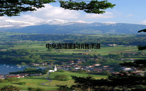 电商直播重构销售渠道