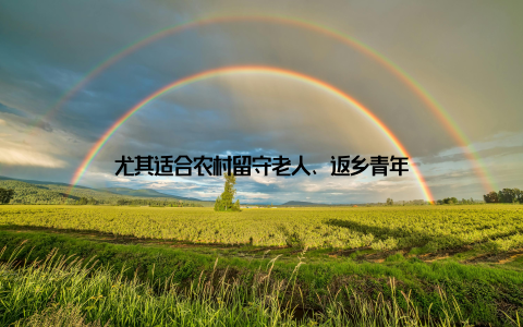 尤其适合农村留守老人、返乡青年