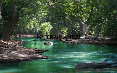 另一个挑战是人才短缺