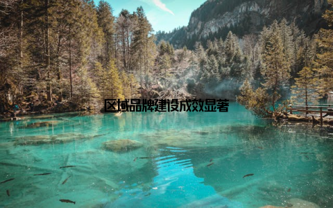 区域品牌建设成效显著