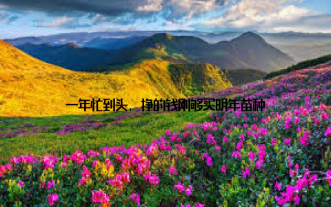 一年忙到头, 挣的钱刚够买明年苗种