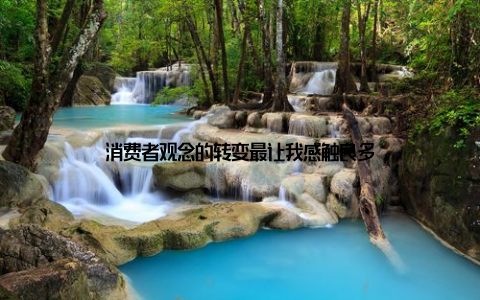 消费者观念的转变最让我感触良多