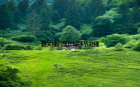 最关键的是运输环节处理