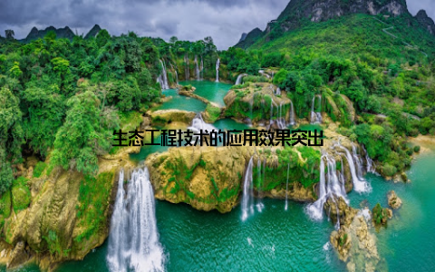 生态工程技术的应用效果突出