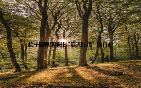 梭子蟹养殖绝非“靠天吃饭”的行业