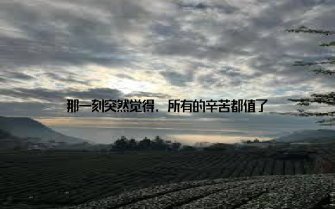 那一刻突然觉得, 所有的辛苦都值了