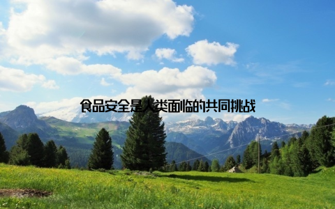 食品安全是人类面临的共同挑战
