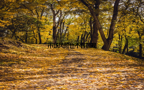 市场风险也不容忽视