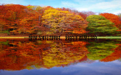 一筐筐龙虾过秤时, 我的手都是抖的