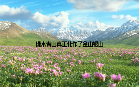 绿水青山真正化作了金山银山