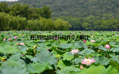 经济效益的提升同样令人瞩目