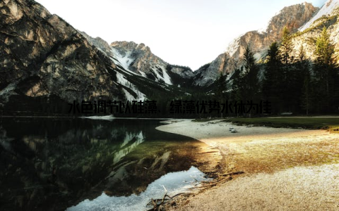 水色调节以硅藻、绿藻优势水体为佳