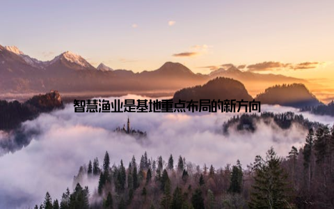 智慧渔业是基地重点布局的新方向