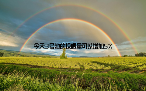 今天3号池的投喂量可以增加5%