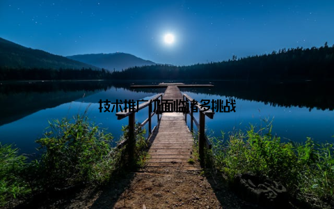 技术推广仍面临诸多挑战