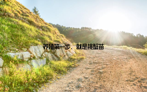 养殖第一步, 就是挑蟹苗