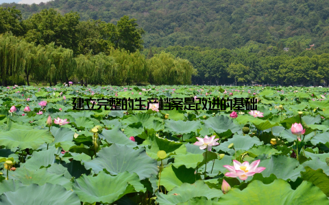 建立完整的生产档案是改进的基础