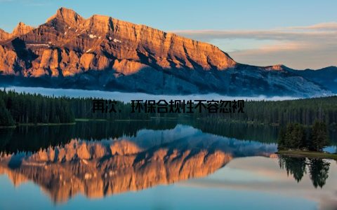 再次, 环保合规性不容忽视