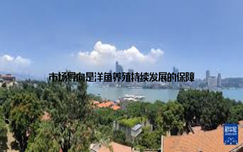 市场导向是洋鱼养殖持续发展的保障