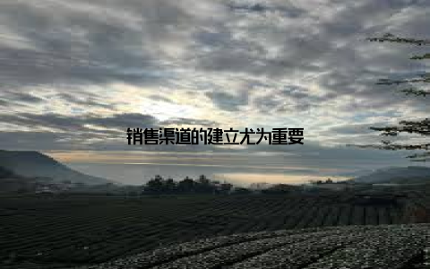 销售渠道的建立尤为重要