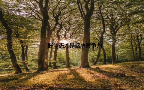 “好生态才是核心竞争力