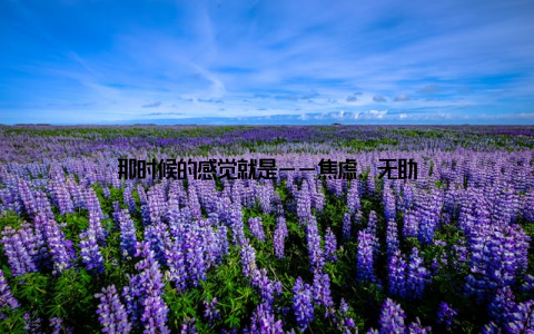 那时候的感觉就是——焦虑、无助