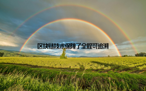 区块链技术保障了全程可追溯