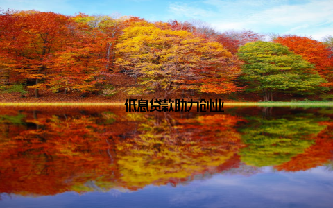 – 低息贷款助力创业