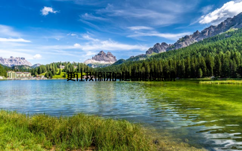 更让我惊讶的是智能投喂机