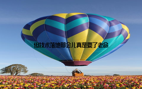 但技术落地那会儿真是要了老命