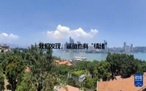 我们发现, 鲨鱼也有“情绪”