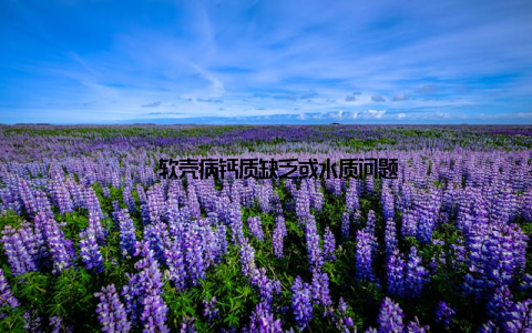 – 软壳病钙质缺乏或水质问题